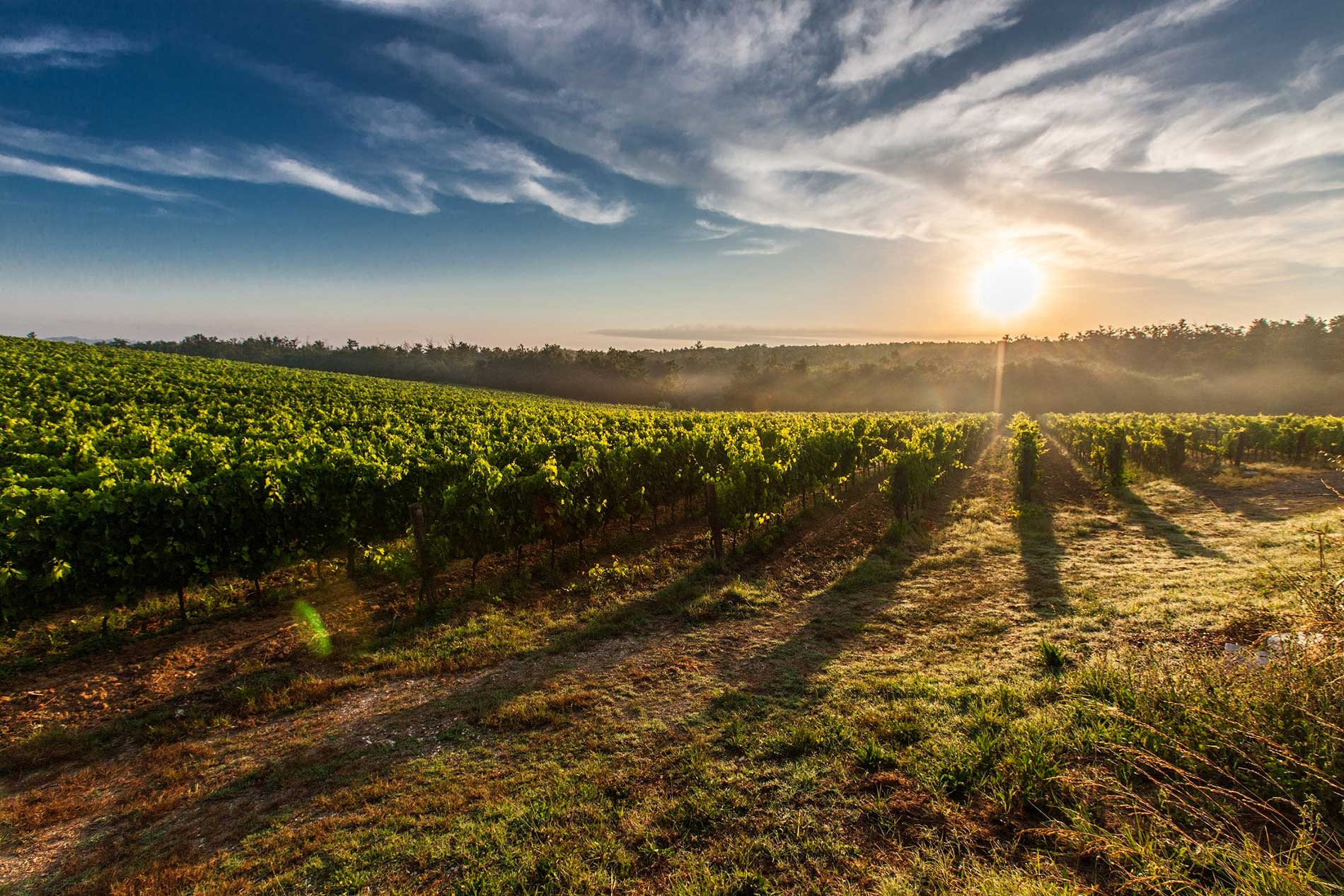 Tonic Tuscany, Italy Business Retreat